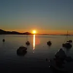 House Danica - & Tavern Bain, Free Transport, Pool, Island Of Zut - Kornati Pristanisce