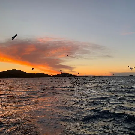 Hébergement de vacances House Danica - & Tavern Bain, Free Transport, Pool, Island Of Zut - Kornati