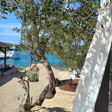House Danica - & Tavern Bain, Free Transport, Pool, Island Of Zut - Kornati *