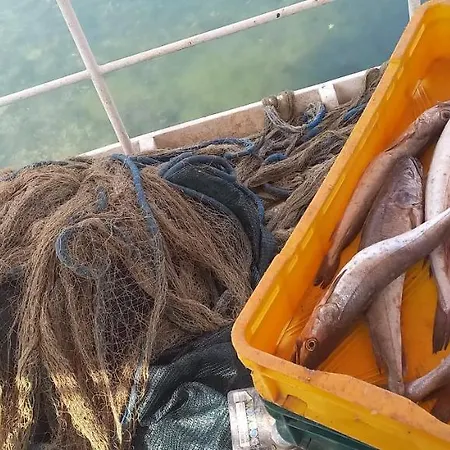 House Danica: Kornati Island With Pool And Transport Holiday home