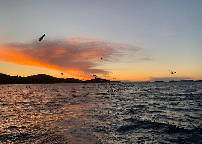 Vakantiehuis House Danica - & Tavern Bain, Free Transport, Pool, Island Of Zut - Kornati