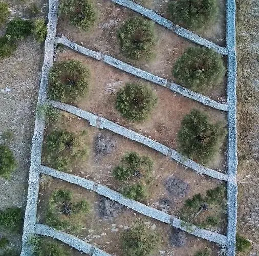 בית נופש House Danica - & Tavern Bain, Free Transport, Pool, Island Of Zut - Kornati Pristanisce