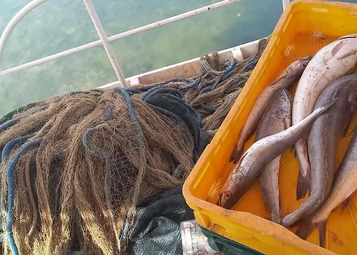 House Danica - & Tavern Bain, Free Transport, Pool, Island Of Zut - Kornati בית נופש